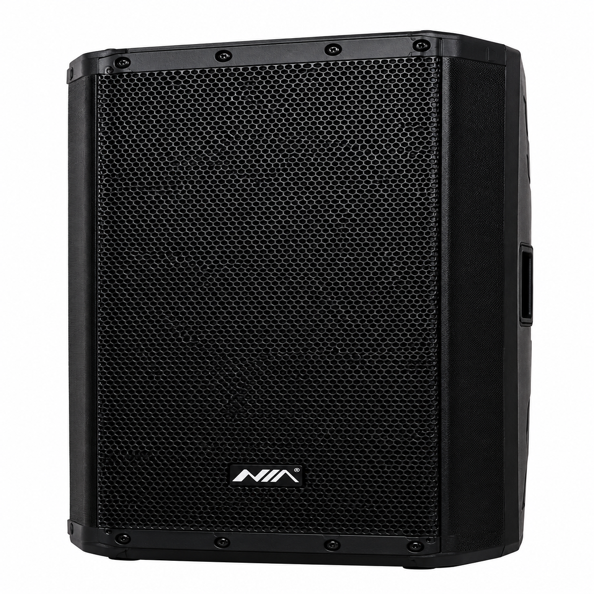 Parlante Nia 10”